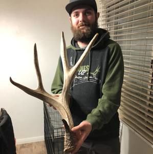 Meet your Posher, Cody